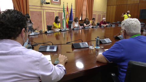 Susana Díaz se reúne con representantes de colectivos que trabajan por la infancia