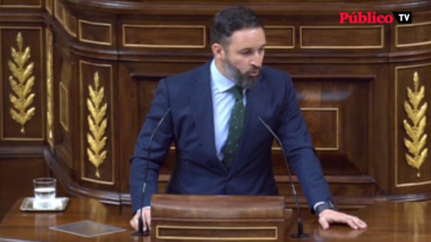 El alegato racista de Abascal en el Congreso