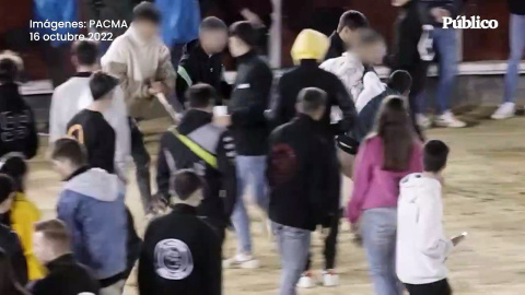 Vídeo | PACMA denuncia un 'after hours' taurino en las fiestas de Brihuega donde se hostigó a becerros hasta la extenuación