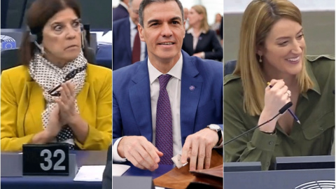 Incredulidad y risotadas ante la irrupción de un perro en el Parlamento Europeo.