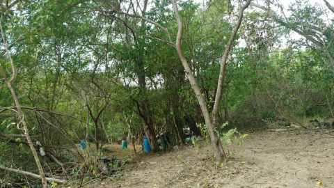 11/11/2024 Laboratorio de fentanilo en las montañas de Sinaloa, México.