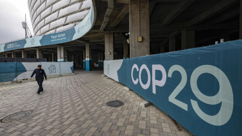 COP 29