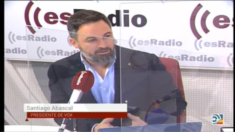 Abascal: "Espero que el PP no esté mirando a Bildu y a Bruselas a la hora de decidir sus pactos"