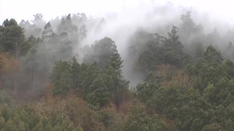 La Guardia Civil busca al 'Rambo gallego' en los montes de Fragas do Eume