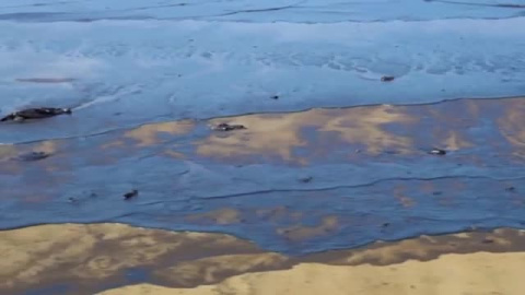 La erupción del volcán de Tonga provoca un vertido de crudo en Perú