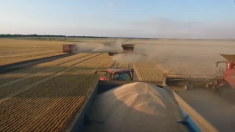 Naciones Unidas alerta de la hambruna que puede causar la subida del precio de los alimentos por la guerra