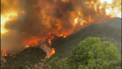 La ola de calor en Chile ya ha quemado más de 7000 hectáreas