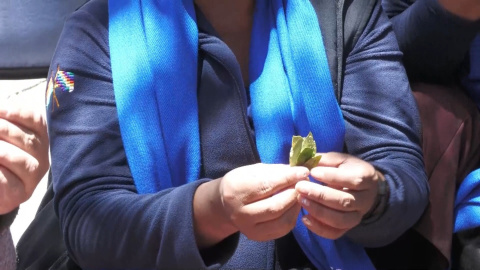 Bolivia busca "la desclasificación de la hoja de coca de la lista como estupefaciente"