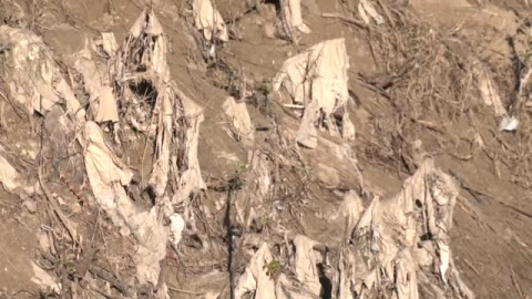 Isla de toallitas en el río Guadalquivir a su paso por Córdoba 