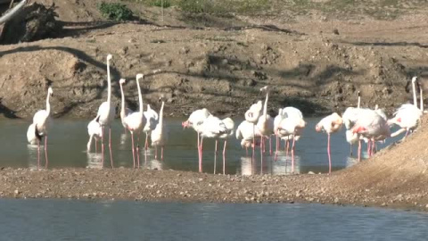 Foco en la protección de los humedales para la regulación del clima y los ciclos del agua