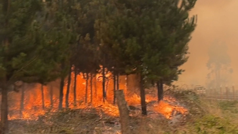 Chile reduce a 24 el número de fallecidos en devastadores incendios