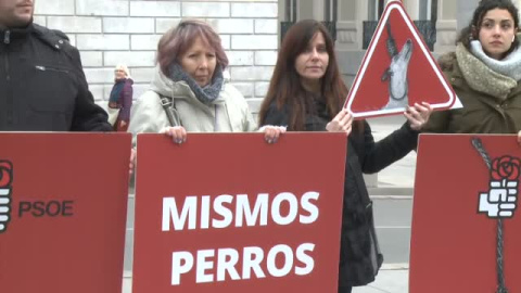 Una veintena de animalistas protestan frente al Congreso contra la Ley de Bienestar Animal   