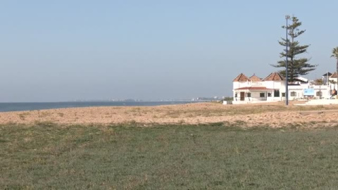 Insólita imagen de una playa de Huelva plagada de hierba