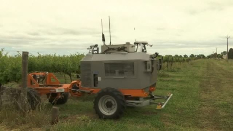 "Bravo Two": el robot de los viñedos australianos