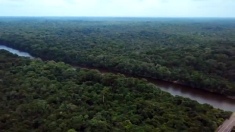 La Amazonía, la joya verde del planeta, vive cada minuto en riesgo de deforestación 