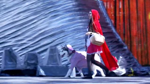 El caniche Chanel triunfa en el carnaval canino de Las Palmas con la fantasía 'Platinium'