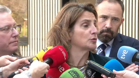 Ribera: "Hay que introducir un límite de renta" para cobrar el bono de familias numerosas