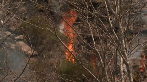 Bomberos de Navarra logran controlar un incendio en el valle de Baztan