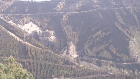 La lluvia y el cambio de viento permiten controlar los incendios de Asturias 