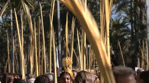 Elche vive una jornada de pasión en su tradicional Domingo de Ramos