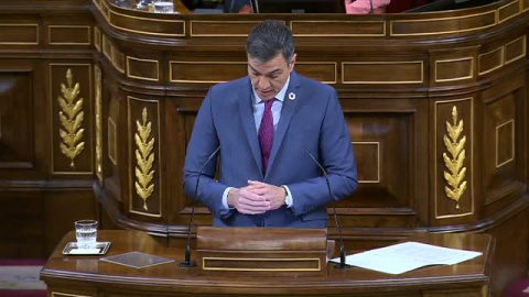 Sánchez sobre Doñana: "La sede de la soberanía nacional le pide de nuevo al gobierno de Andalucía la retirada de sus planes"