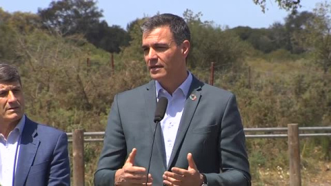 Sánchez pide a la Junta desde Doñana que "rectifique" y que vuelva "a la legalidad europea" 