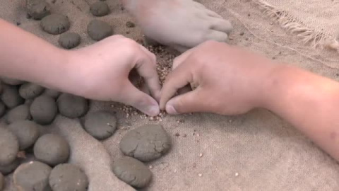 Voluntarios y escolares de Estepona reforestan la Sierra Bermeja con el método "Nendo Dango"