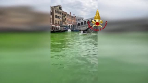 Las aguas del Gran Canal de Venecia aparecen teñidas de verde