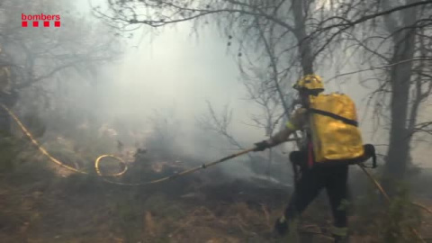 Aumenta el riesgo de incendios en todo el país