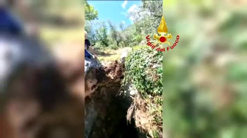 Los bomberos italianos rescatan con un helicóptero a un caballo accidentado en una zona boscosa