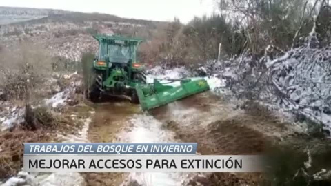 Los incendios se apagan en invierno