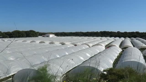 El Gobierno prevé recurrir la ley andaluza sobre Doñana ante el Constitucional