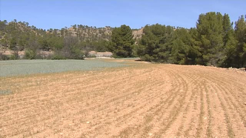 Agricultura convoca de urgencia a Cooperativas agroalimentarias, comunidades de regantes y autonomías ante la preocupante sequía 