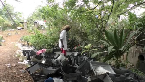 Un florista en Camerún convierte carcasas de monitores viejos en macetas para plantas