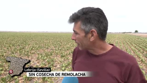 España pide agua a gritos 