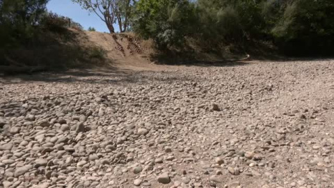 Las Hermandades de El Rocío no entran en la "guerra del agua"