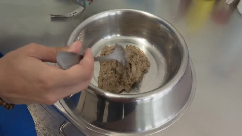 Pescado para evitar la obesidad en perros y gatos