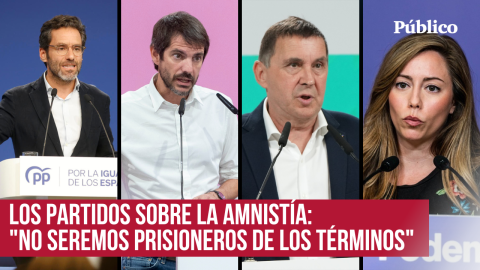 Esto es lo que opinan los partidos sobre los avances hacia la amnistía