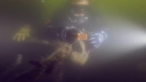 Un grupo de buzos en Nueva York ayuda a limpiar de basura el fondo marino