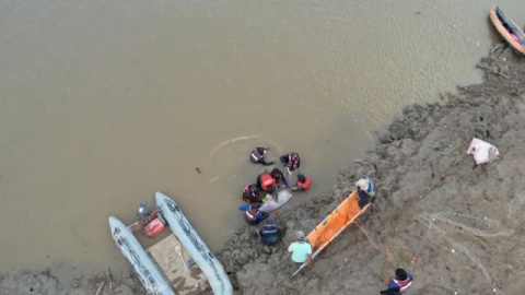 Laborioso rescate de 24 delfines que quedaron varados en una laguna en Bolivia