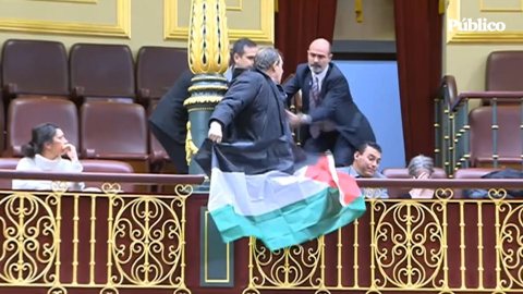 Así ha sido el momento en el que activistas han desplegado banderas palestinas en el Congreso durante la comparecencia de Albares