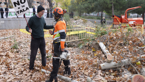 "Es una salvajada ilegal": vecinos de Madrid se plantan contra la tala masiva de árboles de Ayuso y Almeida