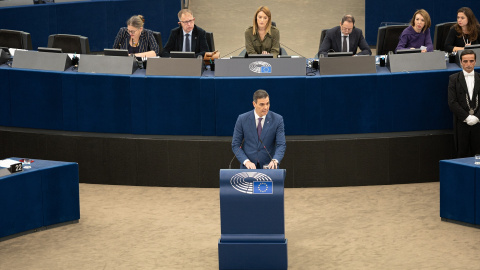 El ladrido de un perro se cuela en el Parlamento Europeo