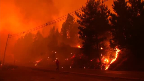 Los incendios forestales siguen avanzando sin control en Chile 