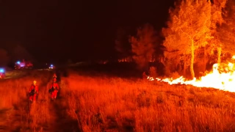 Solo 1 de cada 4 incendios forestales es intencionado, detrás de la mayoría de siniestros hay una negligencia 