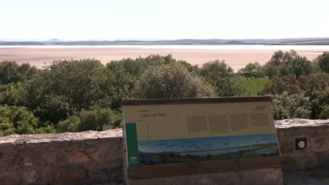 La Laguna de Fuente de Piedra, en Málaga, está seca