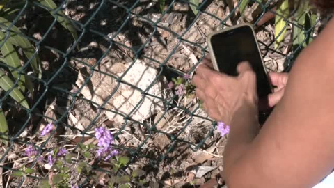 Encuentran restos óseos de una mujer joven en una maleta en Málaga 