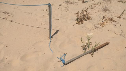 Las dunas de Zahara de los Atunes, amenazadas por las fotos veraniegas