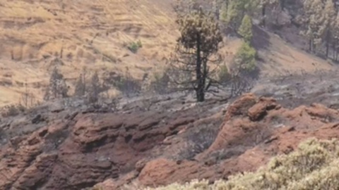 Estabilizado el incendio de Tenerife