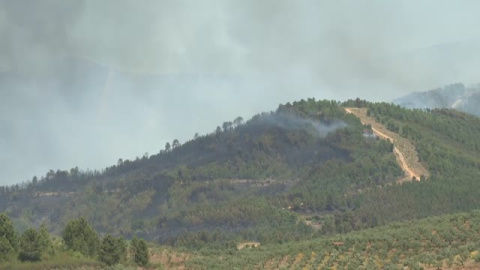 El incendio forestal de Pinofranqueado, en Cáceres, amenaza varios nucleos de población